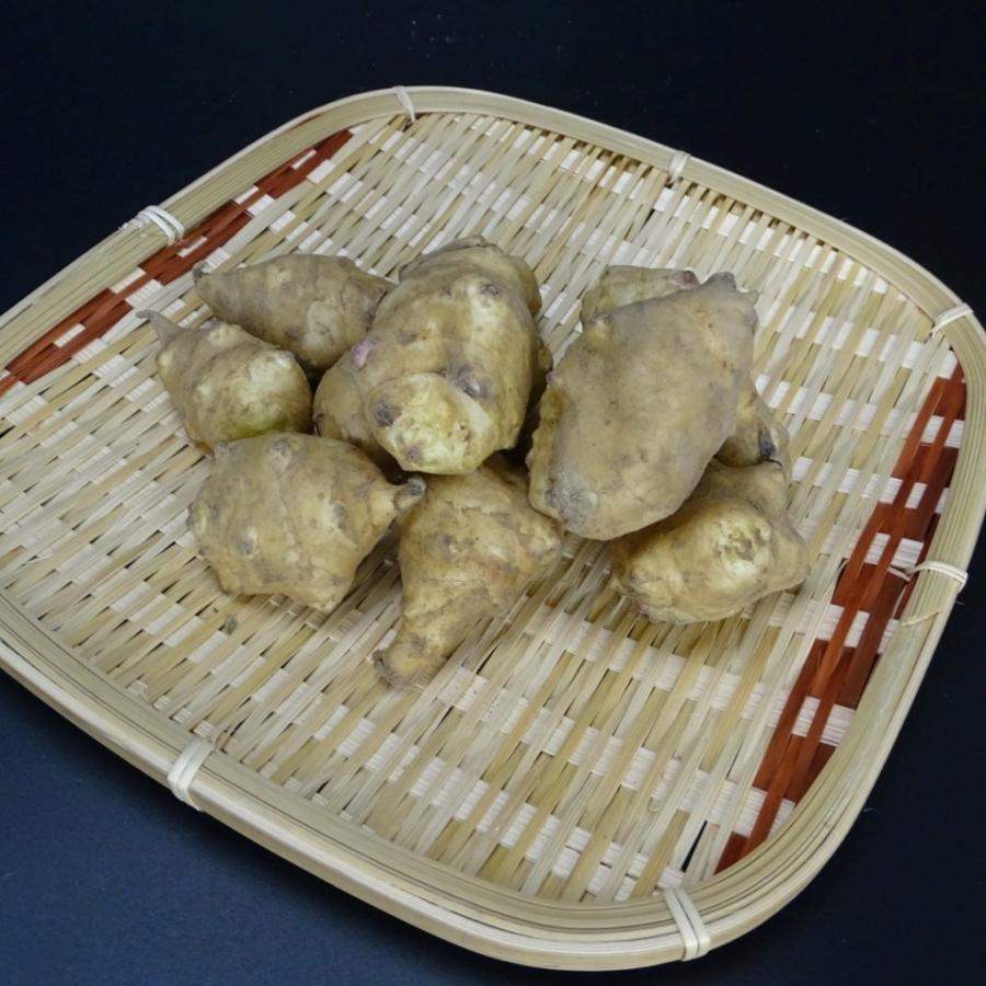 菊芋 きくいも 3kg 当店管理栄養士おすすめのレシピ付き 農薬化学肥料不使用 岡山備中産 得トクセール