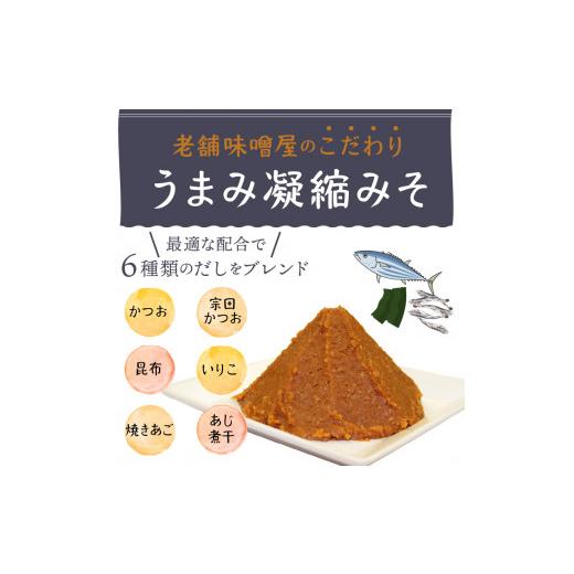 ふるさと納税 山梨県 上野原市 （WL32）神州一味噌 おいしいね！！　あおさ　塩分少なめ 60食(1食×6個×10）