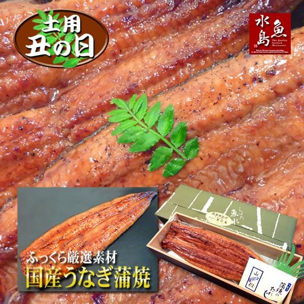 父の日ギフト 土用丑の日 国産 鰻うなぎ蒲焼き ふっくら厳選素材 約30cm超特大 約200g×1尾