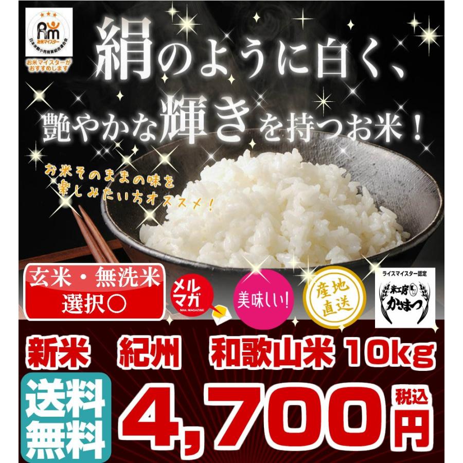 和歌山米 10kg 米 お米 和歌山産 新米 白米 玄米 令和3年産 送料無料 和歌山県産 タイムセール