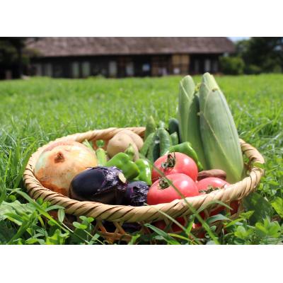 ふるさと納税 三春町 三春町産野菜の詰め合わせ