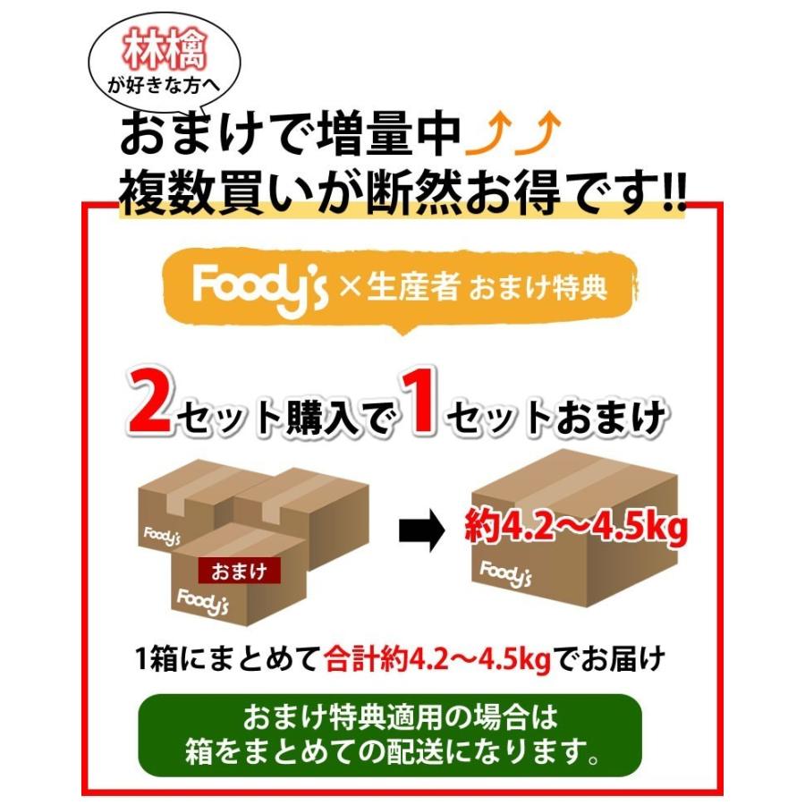 りんご 訳あり リンゴ 送料無料 約1.5kg 長野・青森県産 2セットで1セットおまけ お取り寄せ サンふじ つがる ジョナゴールド ふじ 林檎