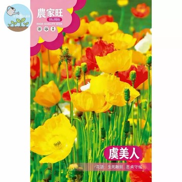 【原廠包裝】虞美人種子(Poppy) 1克裝 花海野花 冰島罌粟 觀賞用 四季開花 耐寒易種 庭院陽台 蜜源植物