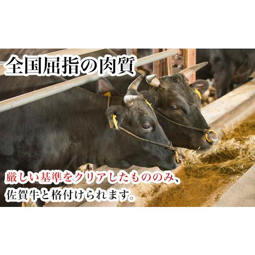 ふるさと納税 佐賀県 唐津市 佐賀牛ロースステーキ 200g×2枚(400g) 「2023年 令和5年」