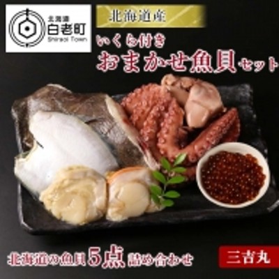 北海道産いくら付きおまかせ魚貝セット【AS061】