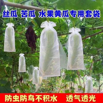 桃園出貨✨苦瓜套袋絲瓜防蟲防鳥袋水果黃瓜保護袋透光透氣加密網紗拉繩網袋