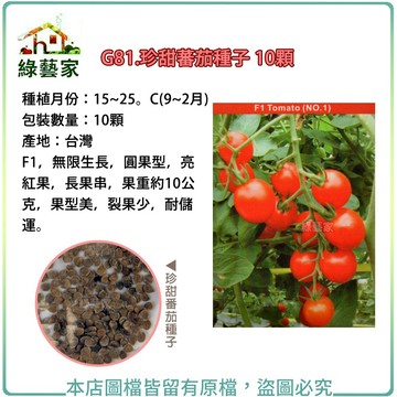 G81.珍甜蕃茄種子10顆 果菜類種子【綠藝家】
