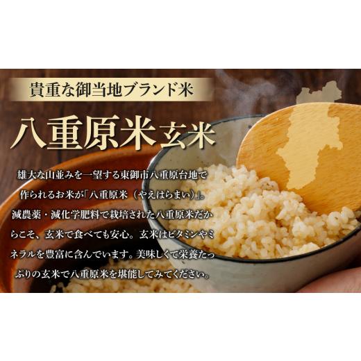 ふるさと納税 長野県 東御市 八重原米2kg（2kg×1袋）玄米