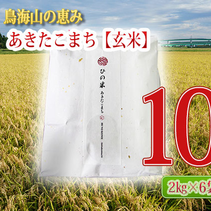 《定期便》12kg×9ヶ月 秋田県産 あきたこまち 玄米 2kg×6袋 神宿る里の米「ひの米」（お米 小分け）