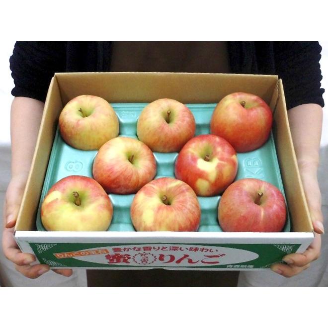 りんご 青森県 蜜だらけりんご ”こみつ” ちょっと訳あり 6〜12玉前後 約2kg 産地化粧箱 こうとくりんご 送料無料