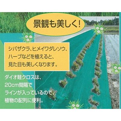 ダイオ化成 ダイオ畦クロス （巾0.5m×100m）