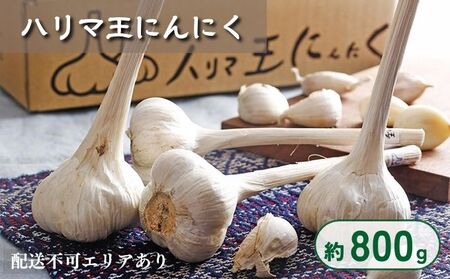 ハリマ王 にんにく 約800g (2024年度産)