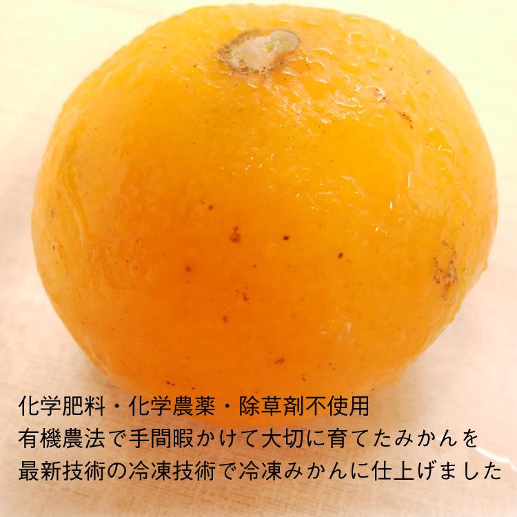 佐藤農場 有機冷凍みかん 200g(4個） 20袋 送料込