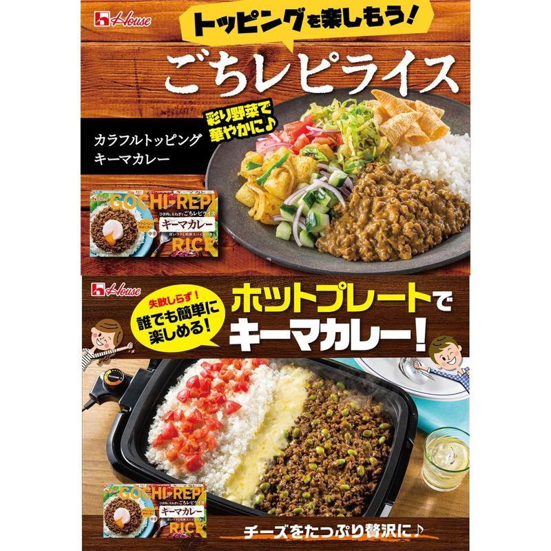 ハウスごちレピライスキーマカレー 145G ×10個