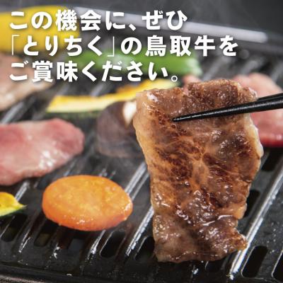 ふるさと納税 鳥取市 鳥取牛肩ロース焼肉用 400g