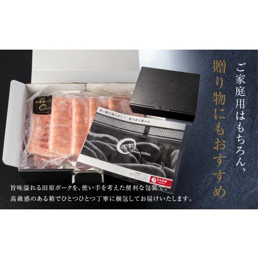 ふるさと納税 愛知県 田原市 国産 豚肉 食べ比べ 500g × 計 1kg しゃぶしゃぶ用 ロース バラ 冷凍 田原ポーク 小分け 100g ずつ 個包装