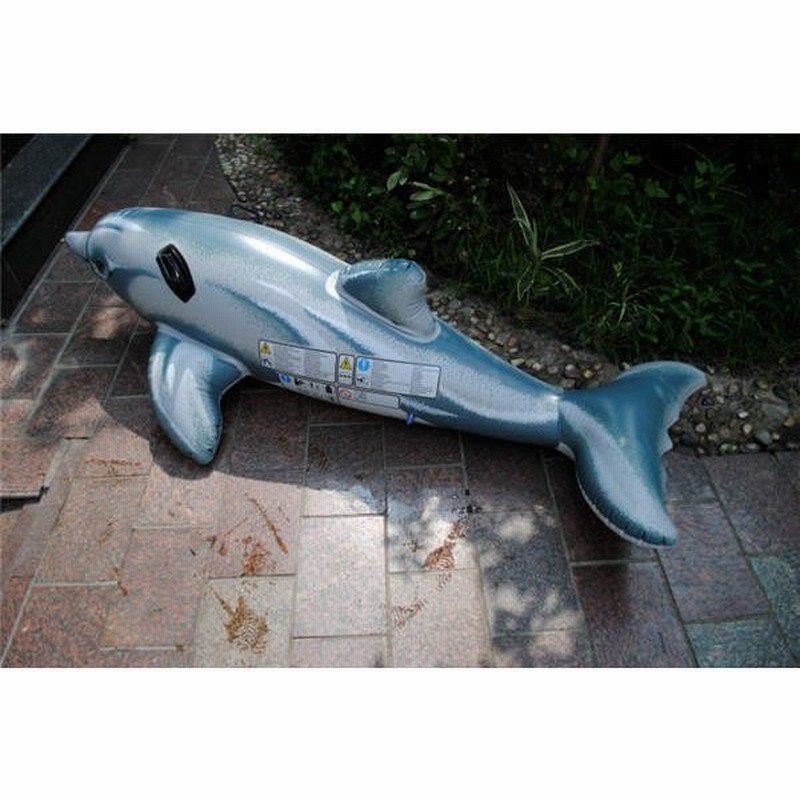 店長おすすめ 面白 浮き輪 可愛い フロート インスタ映え プール 海 海水浴 ビーチ 水遊び 夏休み 子供 大人用 家族 大きい イルカ 人気 通販 Lineポイント最大get Lineショッピング