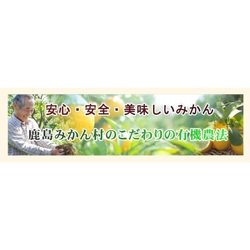 フルーツ レモン 有機リスボンレモン 佐賀県 鹿島市 有機みかん佐藤農場 有機栽培 リスボンレモン 10kg 採りたてを農園から産地直送 送料無料