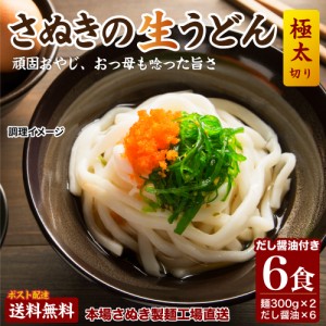 送料無料 本場生讃岐うどん 専用醤油付セット  6人前 (300g×2袋) ポイント消化 お試し