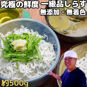 しらす 釜揚げ お中元 ギフト 贈答用 天然塩使用 未冷凍 500g 無添加 無着色 1級品 究極の鮮度 和歌山 辰ヶ浜 魚源水産 直送 釜揚げしら