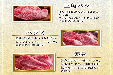 自社牧場直送神戸牛6点食べ比べ焼肉(600g)《 国産 自社牧場直送 肉のヒライ 焼肉 食べ比べ 牛肉 霜降り ロース ハラミ 三角バラ カルビ お楽しみ セット 詰め合わせ 》