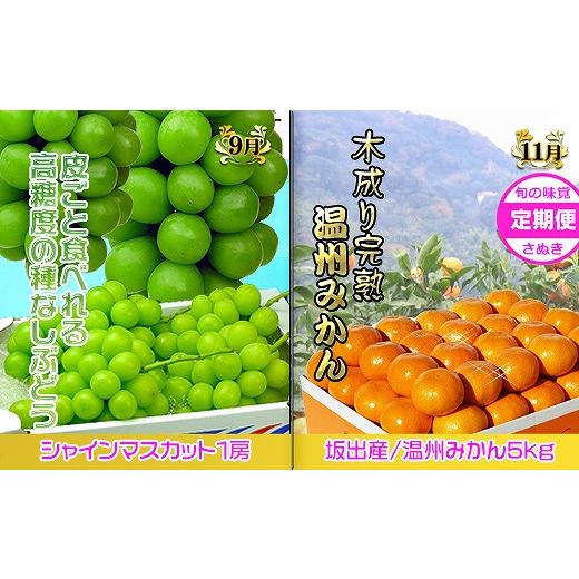 ふるさと納税 香川県 坂出市 坂出産のフルーツとさぬきの特産品の定期便4回