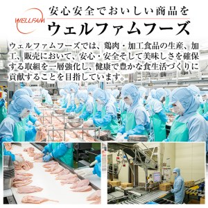 A0-271 九州産！若どり冷凍もも切身(400g×6袋・計2.4kg)