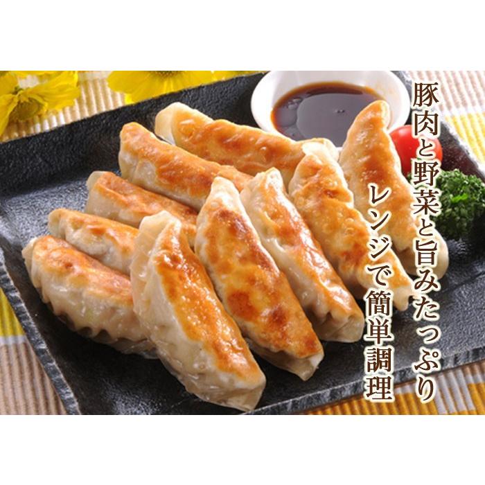 餃子 焼き目入り 880g 22g×40ヶ レンジでチン