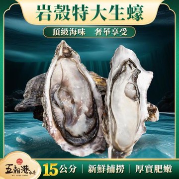 【蠔力全開5包組】岩殼特大生蠔(10顆/包) 共50顆-五朝港水產