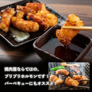 山樹の国産牛白ころホルモン焼き（丸腸）味付　300g [047R19]