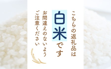 定期便≪3ヶ月連続お届け≫コシヒカリ 10kg × 3回 令和5年 福井県産 [e30-c008]