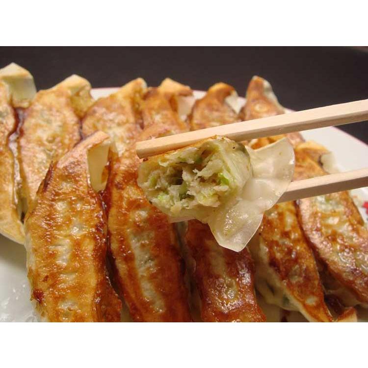 生餃子　60個セット《冷凍》（送料無料）