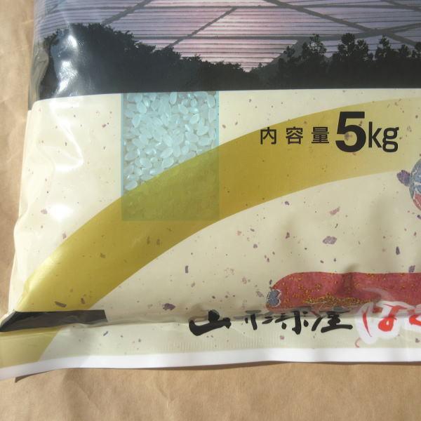 お米 5kg はえぬき 白米 山形県 庄内 5kg×1袋 5年度 新米