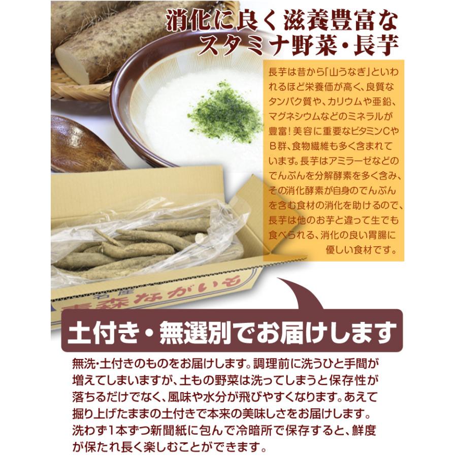 長いも 2.5kg 土付き長いも 青森産 500g×5袋 規格外 切れ子 送料無料 食品