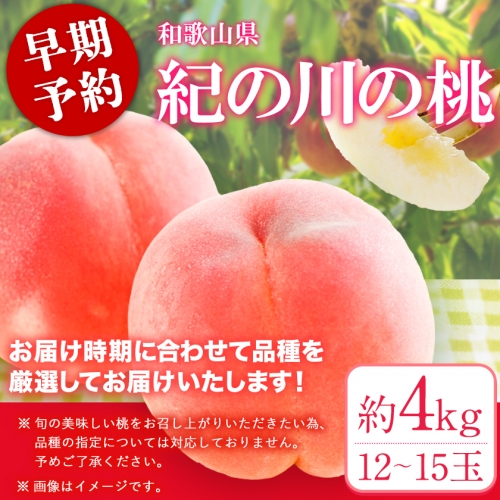 桃 もも 和歌山県産 約4kg 《2024年6月中旬-8月中旬頃より順次出荷》 紀の里の桃 送料無料 12-15玉入り 旬の桃を厳選 あかつき モモ 果物 フルーツ お取り寄せ 予約 和歌山