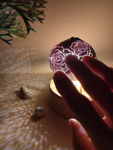 安靜優雅的紫玫瑰      代表珍貴獨特的愛