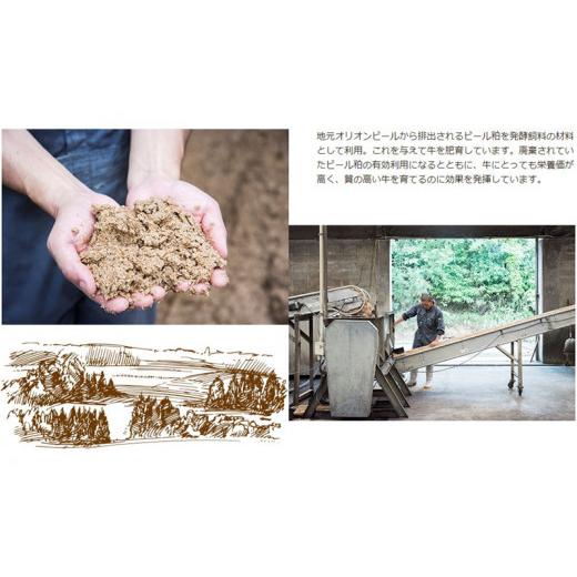 ふるさと納税 沖縄県 本部町 もとぶ牛クラシタ（肩ロース）スライス(自宅用)500g