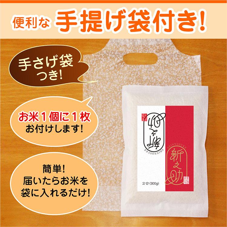 米 新潟産 新之助 2合（300ｇ）真空パック プチギフト 新潟の手土産