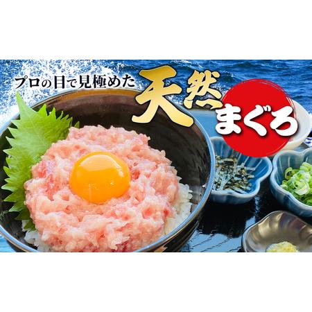 ふるさと納税 天然まぐろのネギトロ 1.5kg (100g×15P) 鮪 まぐろ ねぎとろ ねぎトロ 冷凍 小分け 便利 セット パック 静岡県静岡市