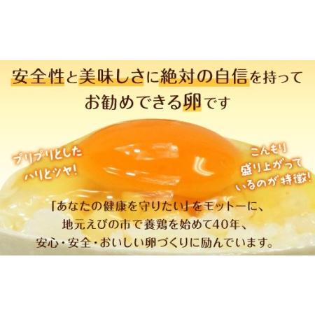 ふるさと納税 えびのの大自然で育ったこだわりタマゴ 康卵 90個 たまご 鶏卵 宮崎県えびの市