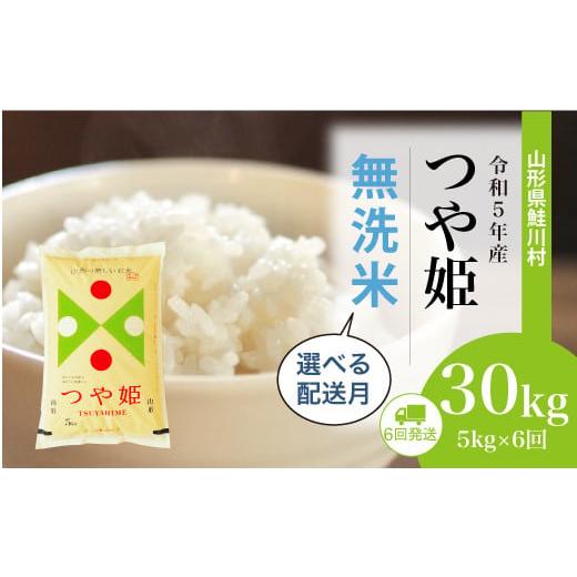 令和5年産 特別栽培米 つや姫  定期便 30?（5kg×1カ月間隔で6回お届け） ＜配送時期指定可＞ 山形県 鮭川村