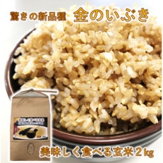 山陽小野田市産　美味しく食べる玄米2kg