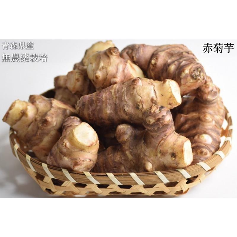 赤菊芋 菊芋 5kg 送料無料 無農薬栽培 化学肥料不使用 洗浄済み 訳あり 不揃い 青森県産 生菊芋 きくいも キクイモ 堀りたて イヌリン