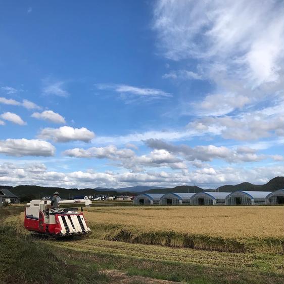 米・穀物 米 精米 北海道厚沢部町産ふっくりんこ6kg 産地直送