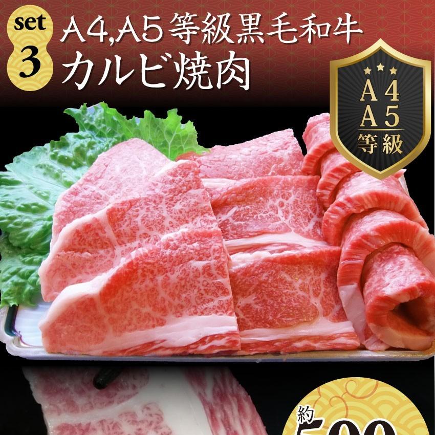 牛肉 肉 特松 福袋 黒毛和牛 A4 A5等級のみ使用 1.6kg 凍眠 テクニカン 肉の福袋 3種 超豪華福袋セット お歳暮 ギフト 食品 お祝い