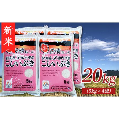 ふるさと納税 16-I201新潟県胎内市産こしいぶき20kg（5kg×4袋） 新潟県胎内市