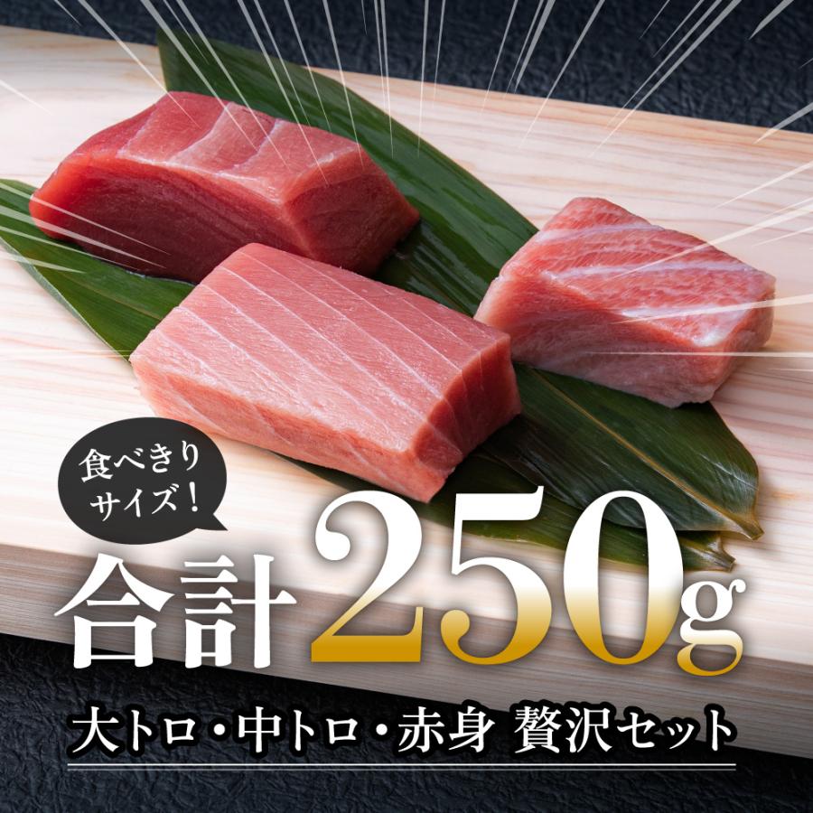 マグロ 本まぐろ 生まぐろ 国産生本マグロ 刺し身 冷蔵 大トロ 中トロ 赤身の食べ比べセット250グラム お取り寄せ お歳暮 プレゼント  年末年始 送料無料