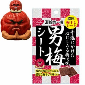 男梅シート 27g ＊ノーベル製菓 男梅 お菓子 ドライ果実お菓子