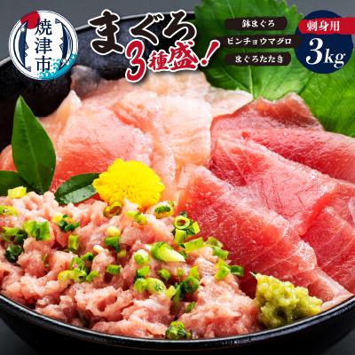 ふるさと納税 焼津市 カネト平田刺身用まぐろ3種盛約3kg(a30-183)