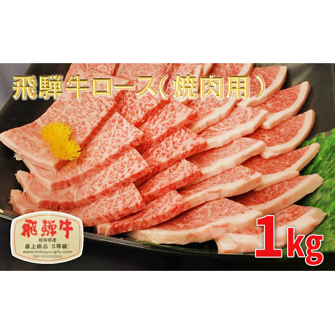 ふるさと納税　飛騨牛 牛肉 焼肉 ロース 500g×2 計1kg A5 和牛